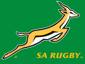 Springbok
