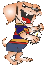 BrakkiesRugby