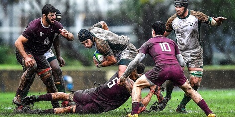 NewsG Junior Springboks Mudpath