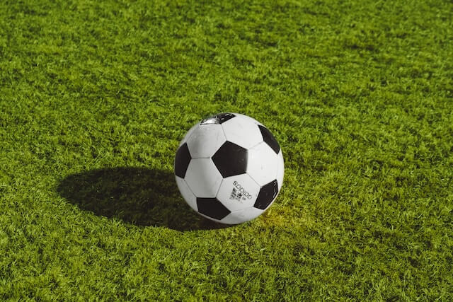 Ball on Grass