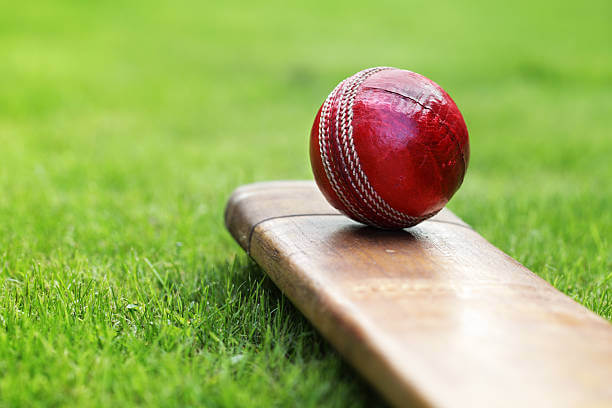 Cricket Ball on Bat