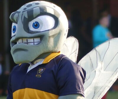The Horseflies had good reason to smile after completing a second season in succession without defeat on Van Heerden Field.