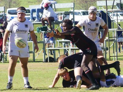 St Charles College and Clifton College will be two of the teams defending a strong KZ record in the Independent Schools Rugby Festival. Photo: Brad Morgan.