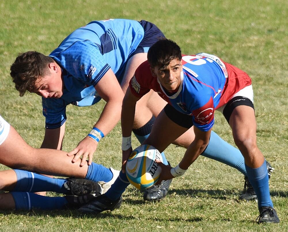 Framesby scrumhalf Mondre van Heerden prepares to release the ball to his backline during Framesby's five-point win over nico Malan. Photo: Hoërskool Framesby on Facebook.