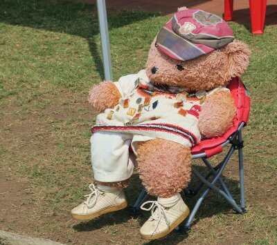 Maritzburg College's cricket mascot, Mikey, watched the Oppenheimer Michaelmas Week hosts scored a third win in four outings on Goldstone's on Tuesday. Photo: Maritzburg College on Facebook.