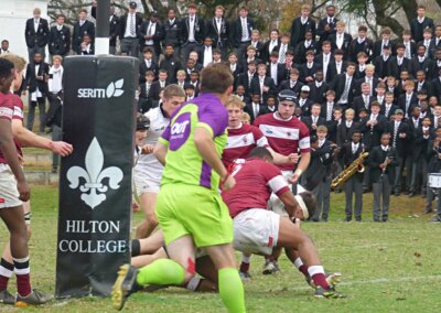 Ross Steyn excelled at no. 8 for Hilton. He also scored their final try of the game, dragging two defenders across the try line. Photo: Brad Morgan.